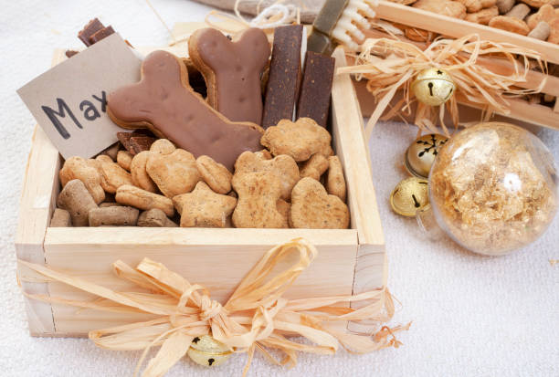 Large Dog Toy Gift Box for endless playtime